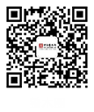 整木頭條